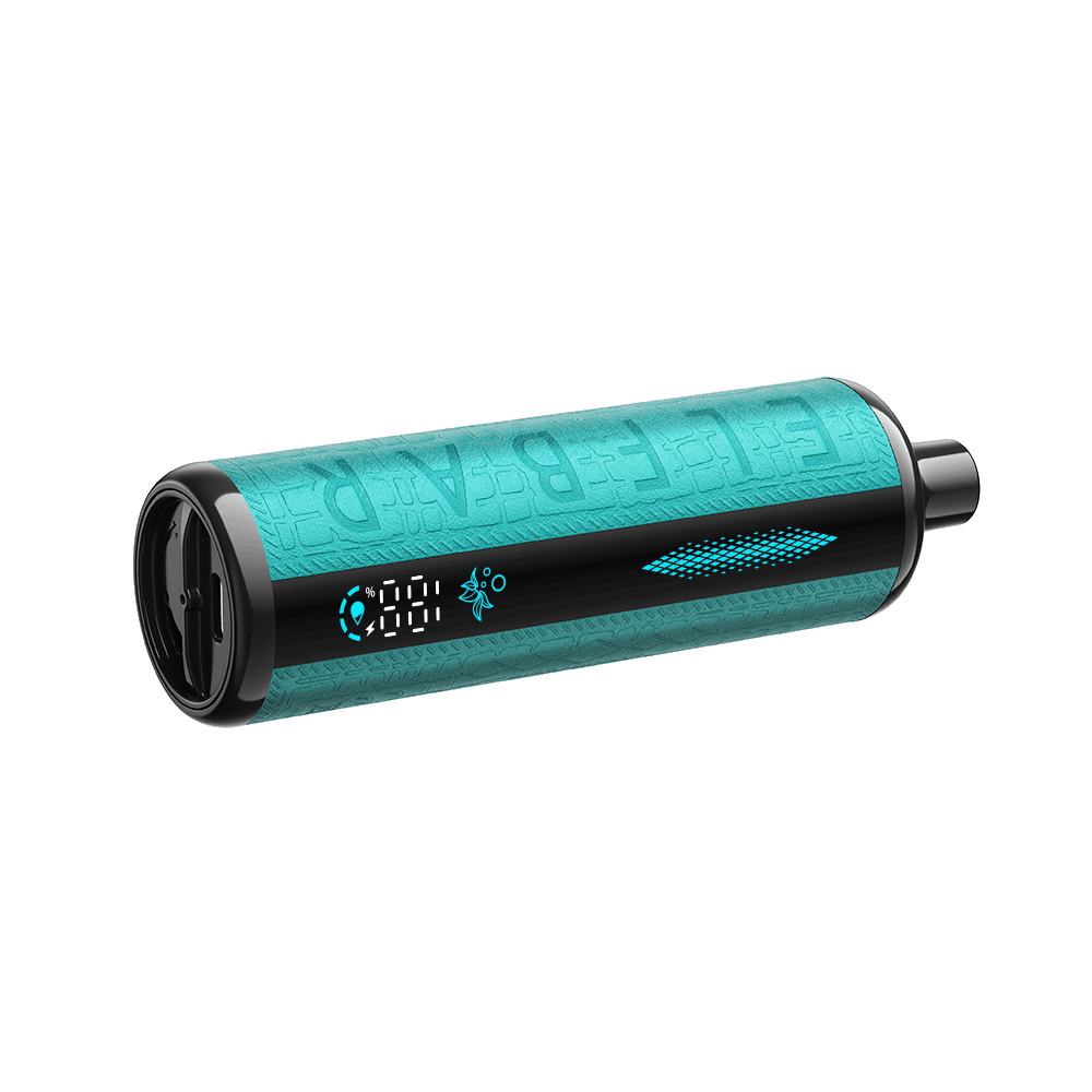 Elfbar-E-Shisha-30k-Melon-Mint-Disposable-Vape